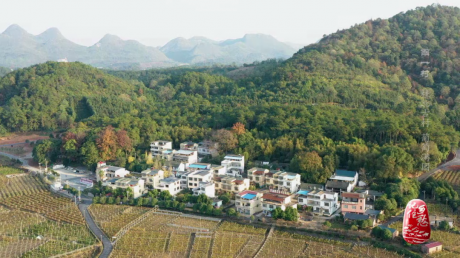 从桂北山村到加密巅峰：一个女学者的数字突围战